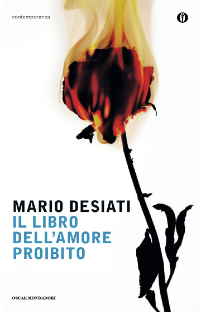 Il libro dell'amore proibito